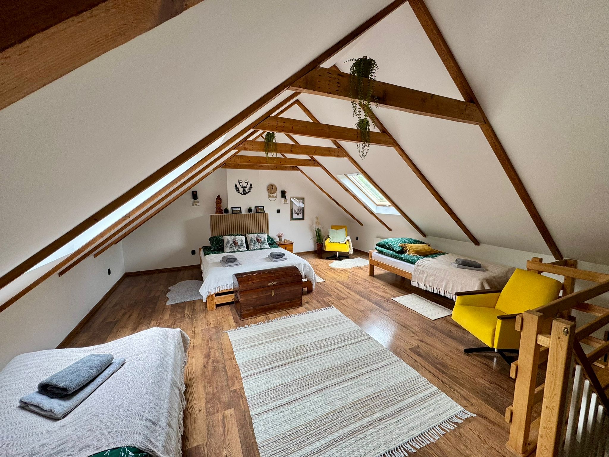 Leśne pogaduchy apartment